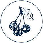 light logo