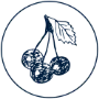 Mobile Logo